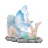Amelia 6cm Fairies Enchantment Fairies