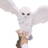 Snowfall 18cm Owls NEMESIS NOW | EASTER SALE