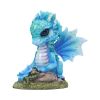 Blue Poppy Flower Dragon 11cm Dragons Flower Dragons