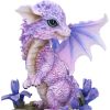 Iris Flower Dragon 12cm Dragons Flower Dragons