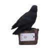 Ravens Cry 18cm Ravens Every Day Is Halloween