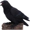 Ravens Cry 18cm Ravens Every Day Is Halloween