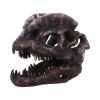 Dilophosaurus Skull 16cm Dinosaurs Top 200 None Licensed