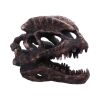Dilophosaurus Skull 16cm Dinosaurs Top 200 None Licensed