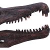 Spinosaurus Skull 16cm Dinosaurs Father's Day