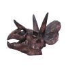 Triceratops Skull 14.5cm Dinosaurs Top 200 None Licensed