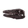 Archaeopteryx Skull 18cm Dinosaurs Gifts Under £100