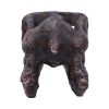 Archaeopteryx Skull 18cm Dinosaurs Gifts Under £100