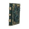 Dragon's Grimoire Journal 19cm Dragons Year Of The Dragon