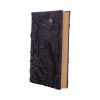 Raven's Grimoire Journal 19cm Ravens Gifts Under £100