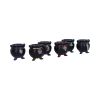 Positive Energy Cauldrons (Set of 6) 6cm Witches Stock Release Winter 2025 Launch