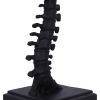 Vertebrae Lamp Skeletons Stock Arrivals