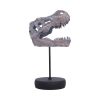 Tyrannosaurus Rex Skull on Plinth Dinosaurs Father's Day