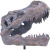 Tyrannosaurus Rex Skull on Plinth Dinosaurs Father's Day