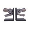 Tyrannosaurus Rex Skull Bookends Dinosaurs Father's Day