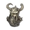 Odin Bust 21.5cm History and Mythology Gifts Under £100