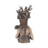 Gaia Bust 26cm History and Mythology Out Of Stock