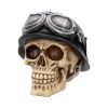 Iron Cross Skull 15.5cm Skulls Gifts Under £100