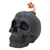 Mind Blown 14.7cm Skulls Last Chance to Buy