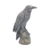 Ravens Rest 16cm Ravens Gifts Under £100