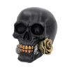 Black Rose from the Dead 15cm Skulls Statues Medium (15cm to 30cm)
