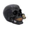 Black Rose from the Dead 15cm Skulls Statues Medium (15cm to 30cm)