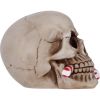 Frostbite Skulls Out Of Stock