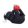 Jingle Paws Cats Out Of Stock
