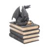 Secrets Of The Dragon 19cm Dragons Year Of The Dragon