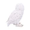 Snowy Watch Large 20cm Owls Gifts Under £100