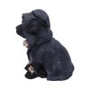 Reapers Canine 17cm Dogs Every Day Is Halloween