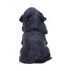 Reapers Canine 17cm Dogs Every Day Is Halloween