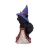 Hocus 12.7cm Cats Gifts Under £100