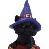 Hocus 12.7cm Cats Gifts Under £100