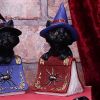Hocus 12.7cm Cats Gifts Under £100