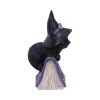 Pocus 12.7cm Cats RRP Under 10