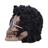 Bad 16.5cm Skulls NEMESIS NOW | EASTER SALE