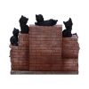 The Witches Litter 24.8cm (Display of 36) Cats Flash Sale Day 4