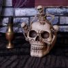 Breaking Free 17.7cm Skulls Halloween RRP Below 20