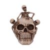 Breaking Free 17.7cm Skulls Halloween RRP Below 20