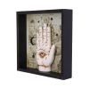 Palmistry Companion 20.2cm Palmistry Sale Items