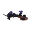 Purrfect Broomstick 27.5cm Cats Halloween RRP Below 20