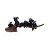 Purrfect Broomstick 27.5cm Cats Halloween RRP Below 20