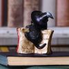 Kitty's Grimoire (Red) 8.2cm Cats Gifts Under £100