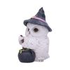 Owl Potion 17.5cm Owls Sale Items