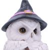 Owl Potion 17.5cm Owls Sale Items