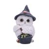 Owl Potion 17.5cm Owls Sale Items