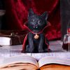 Count Catula 15.5cm Cats Halloween RRP Below 20