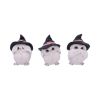 Three Wise Feathered Familiars 9cm Owls Halloween RRP Below 20