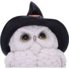 Snowy Spells 9cm Owls Gifts Under £100